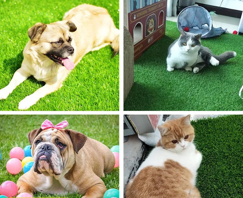 PawLawn | Wewnętrzna i Zewnętrzna Mata Trawnikowa dla Psów z Ochroną Przeciwprzeciekową