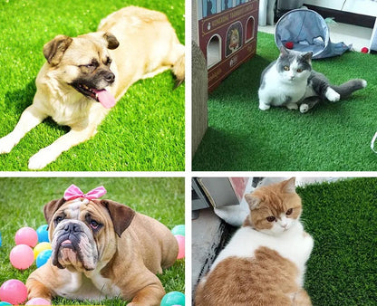 PawLawn | Wewnętrzna i Zewnętrzna Mata Trawnikowa dla Psów z Ochroną Przeciwprzeciekową