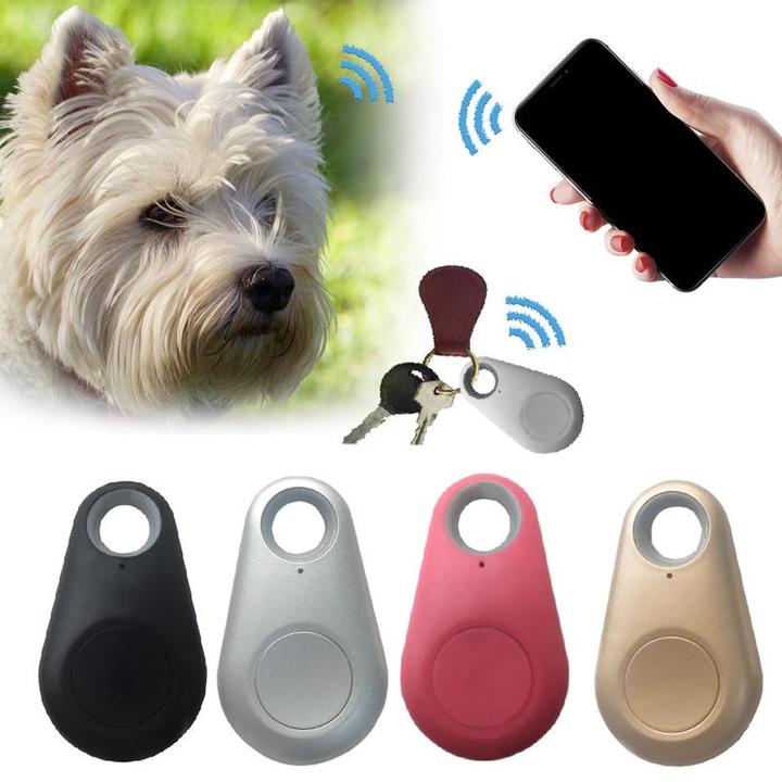 PetSafeGPS | Mini GPS Tracker dla Twojego Pupila