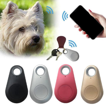 PetSafeGPS | Mini GPS Tracker dla Twojego Pupila