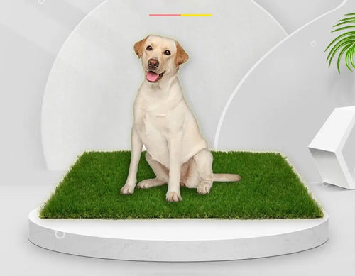 PawLawn | Wewnętrzna i Zewnętrzna Mata Trawnikowa dla Psów z Ochroną Przeciwprzeciekową