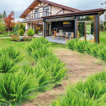 Kup jeden, drugi gratis | Realistyczna, odporna na promieniowanie UV sztuczna roślina Boston Fern