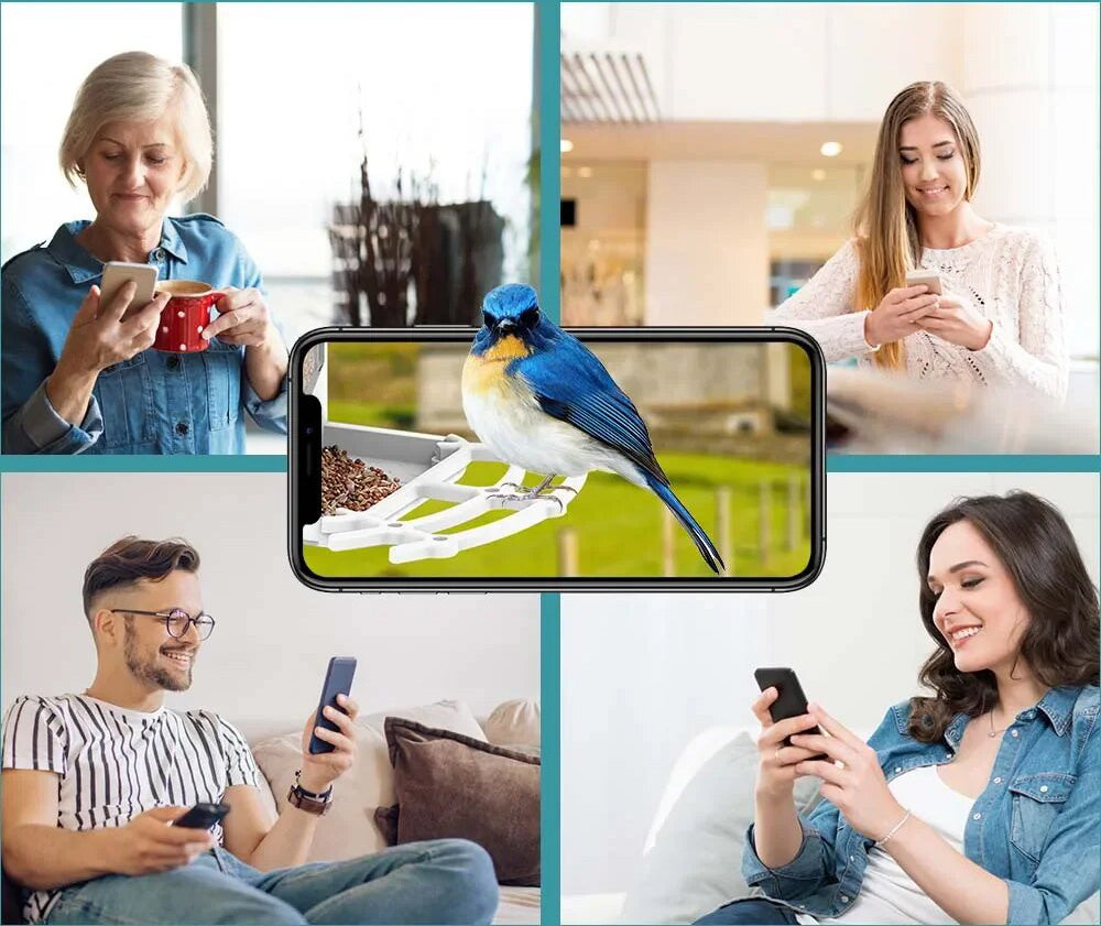 BirdWatch Zaawansowany Karmnik - Identyfikacja Ponad 16.000 Gatunków Ptaków - Zasilany Energą Słoneczną