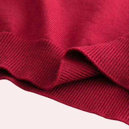 TERENCE - Casual Sweater with High Collar