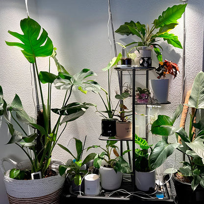 PlantLoom – Regulowany Stojak na Rośliny z 4 Poziomami i Zmienną Wysokością