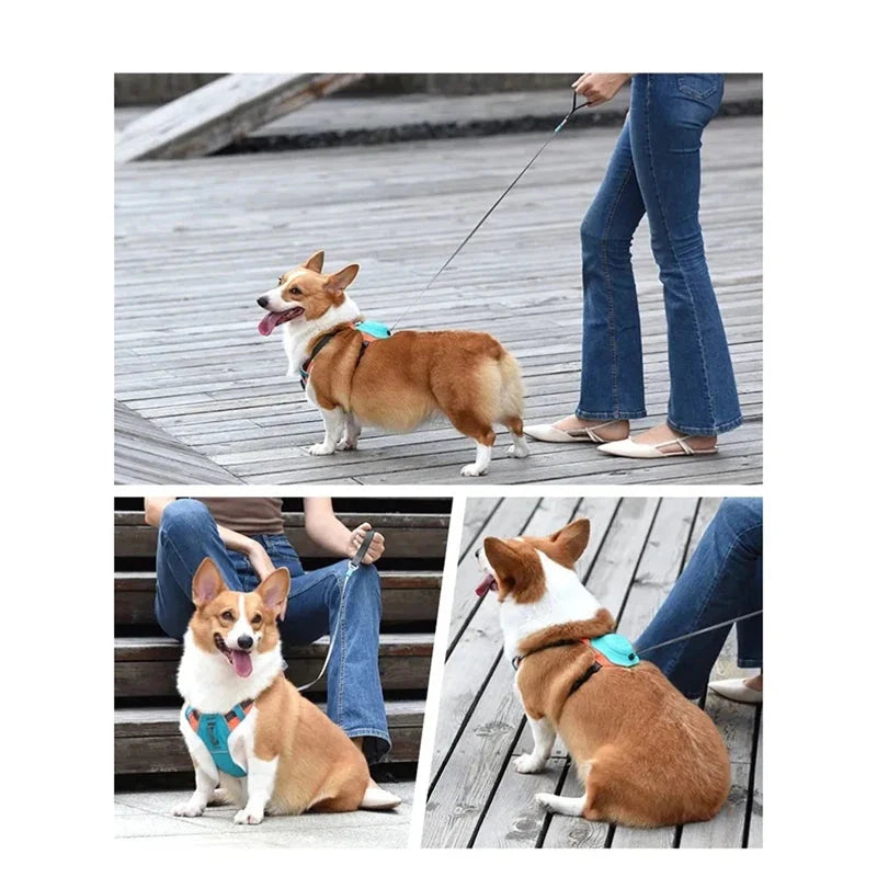 Szarpanie-Free Szelki dla Psów z Chowaną Smyczą - Automatyczna Funkcja Przeciwwybuchowa i Oddychający Design dla Większego Komfortu