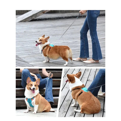 Szarpanie-Free Szelki dla Psów z Chowaną Smyczą - Automatyczna Funkcja Przeciwwybuchowa i Oddychający Design dla Większego Komfortu