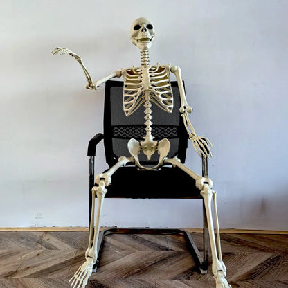 Ruchomy szkielet ludzki 90–165 cm — autentyczna dekoracja na Halloween i imprezy tematyczne