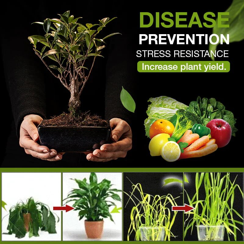 Aktywator Gleby do Upraw Ogrodowych