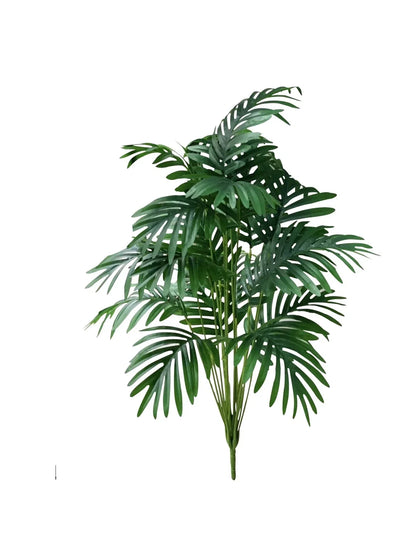 Elegancka Roślina z Tropikalnym Urokiem