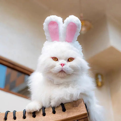 Ciepła Zimowa Czapka dla Zwierząt - Urocze Nakrycie Głowy Misia i Królika dla Psów i Kotów