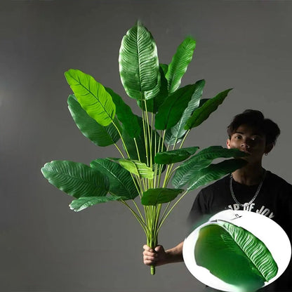 Tropikalny Urok przez Cały Rok