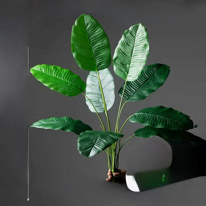 Tropikalny Urok przez Cały Rok