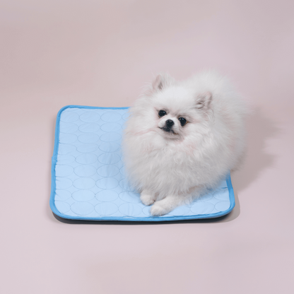 Innowacyjna chłodząca mata dla psów (4x moc chłodzenia) - ChillComfort