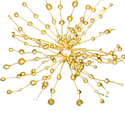 LumiGarden – Ekologiczne LED Solarne Lampy do Ogrodu