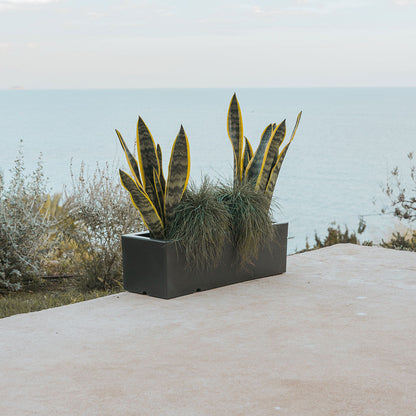 Stylowa doniczka, która ożywi Twoje wnętrze