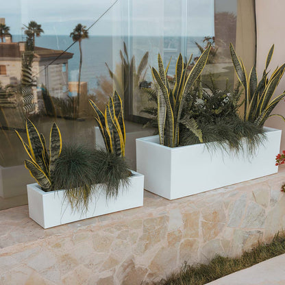 Stylowa doniczka, która ożywi Twoje wnętrze